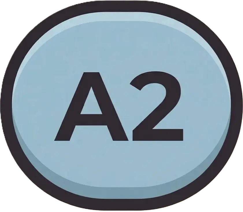 A2