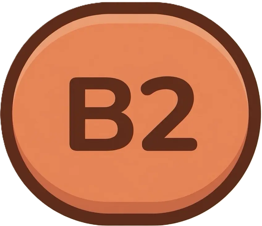 B2